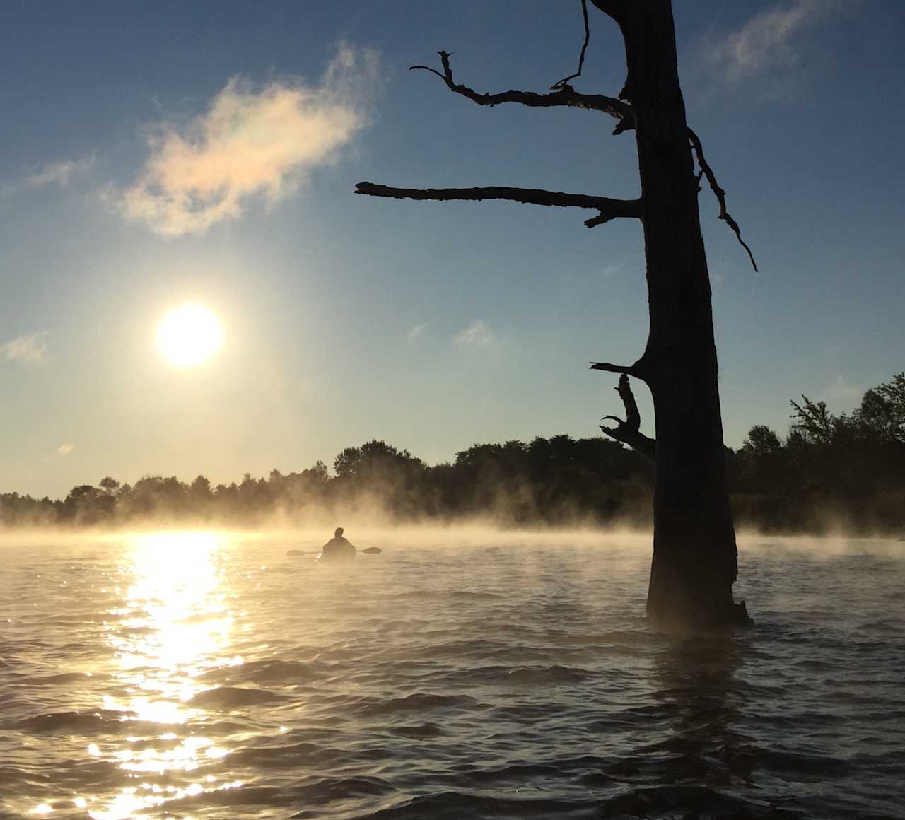 My friends and I hang out around the "naked tree" in the mornings to get the best photo ops. 