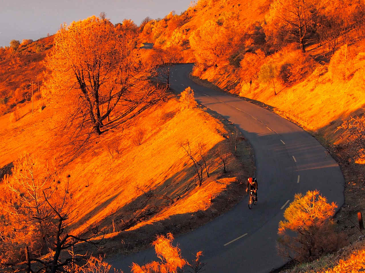 Near the summit of Mt.Diablo