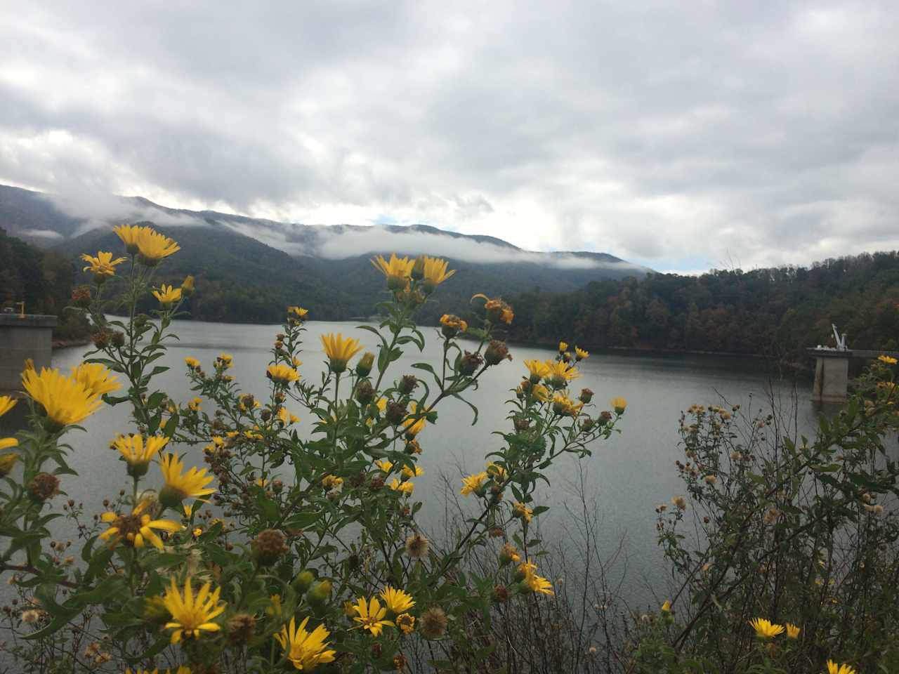 The view from Wautuga Dam, looking towards Carden Bluff Campground. 