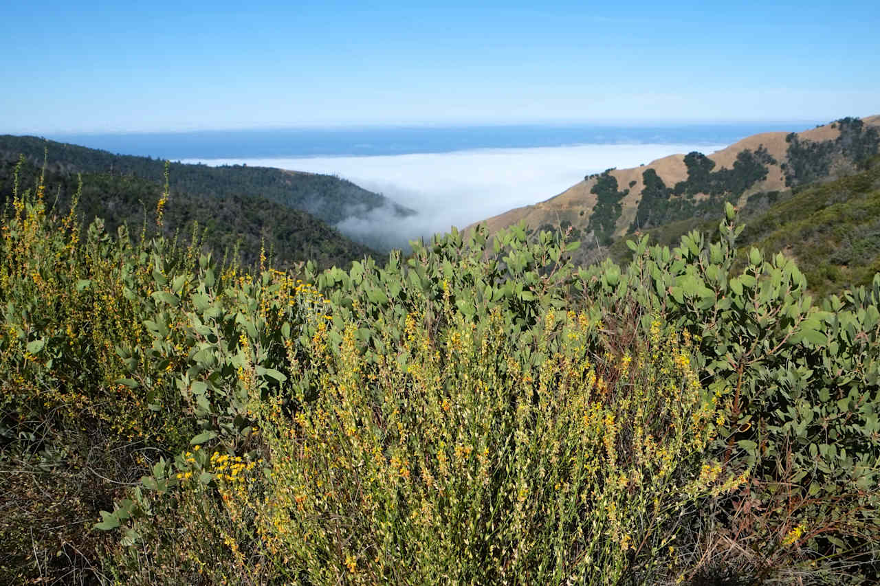 Pretty cool when you wake up and you are above the clouds...