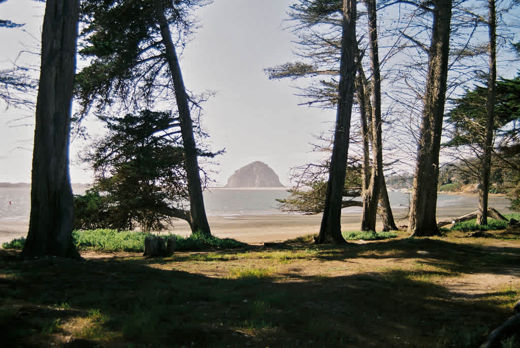 Morro Bay State Park