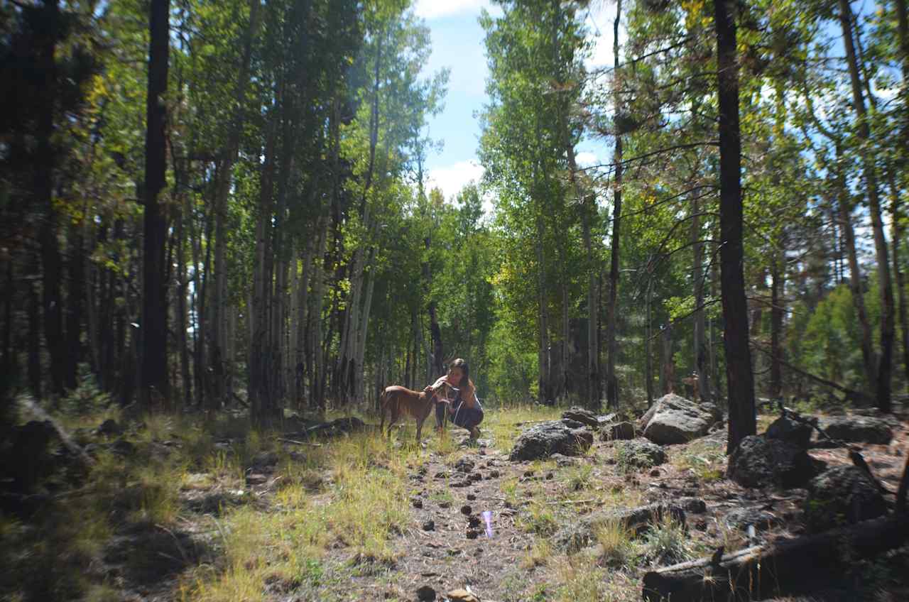 Freidlein Prairie Dispersed Camping