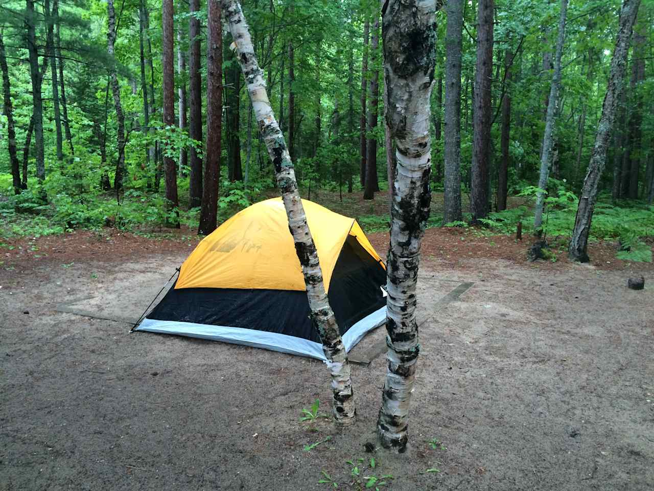 Camp #14 at Twelvemile. I made this solo trip to Pictured Rocks in early July of 2015. Upon arrival, biting flies attacked and I was greeted with a downpour. It's easy to see these things as just part of the adventure when your surroundings are this beautiful!