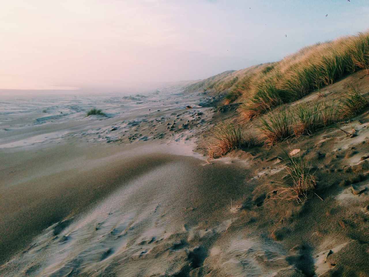 beach at sunset