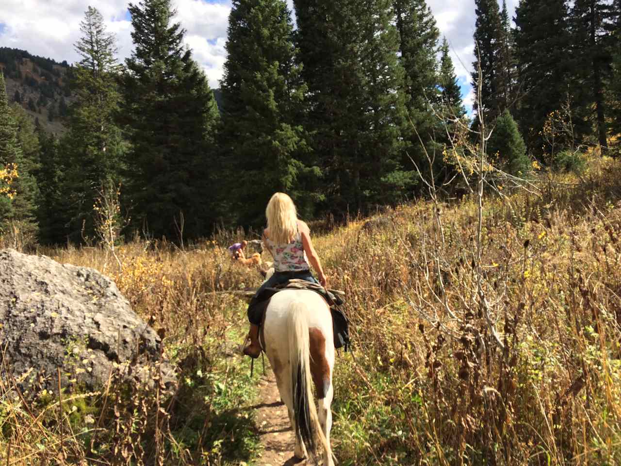 Teton Canyon Campground