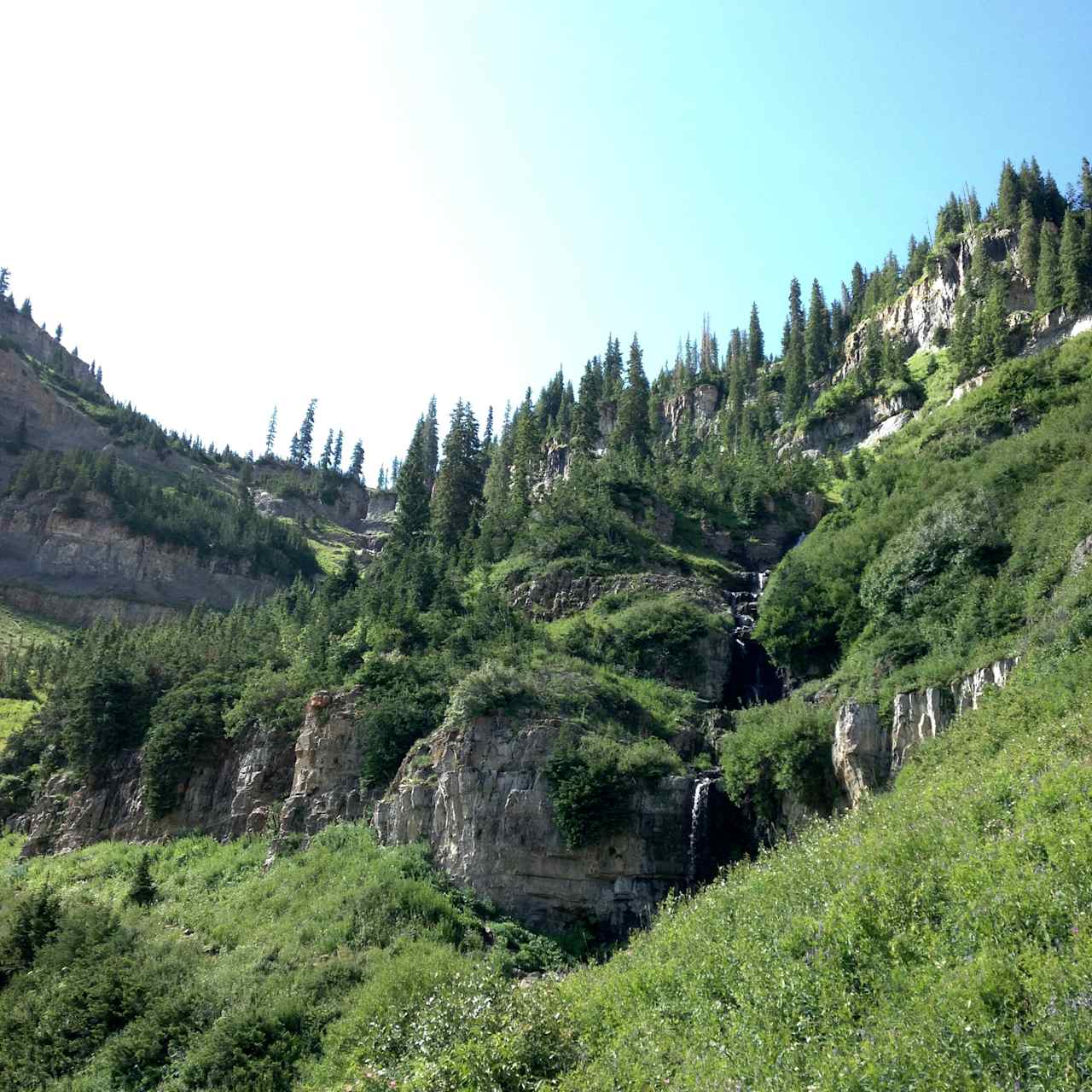 The summit trail isn't easy but beautiful the whole way up.