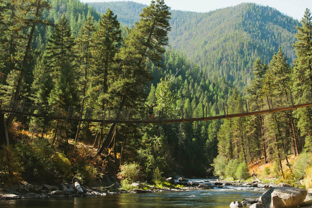 The swinging bridge over Rock Creek