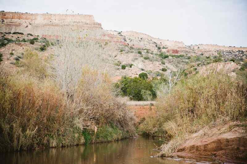 View of the canyon rim.