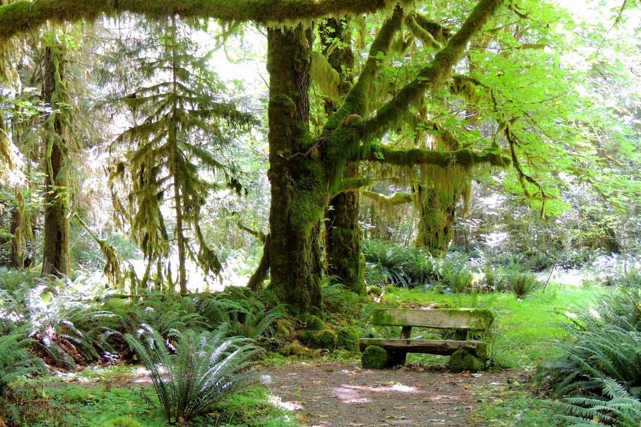 This bench is made for relaxing.