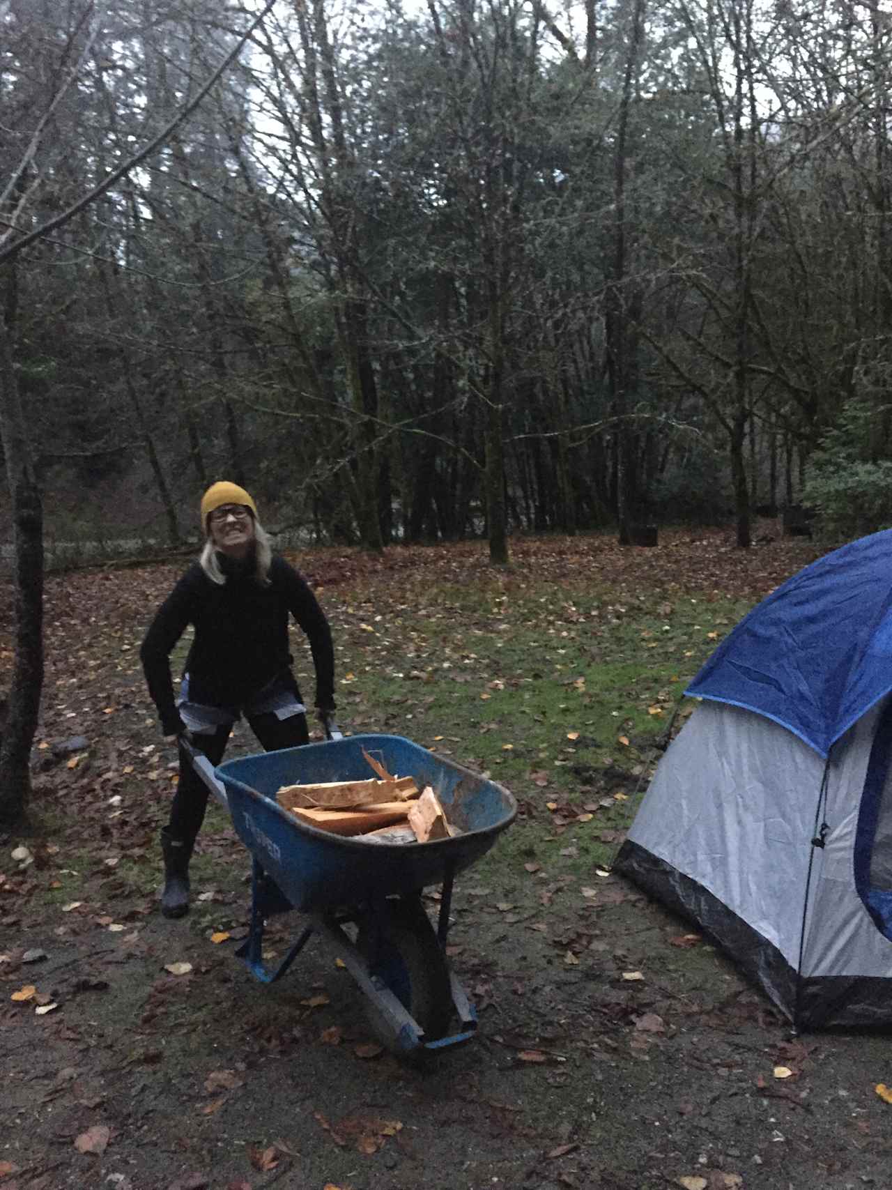 Rainy winter night, collecting wood.