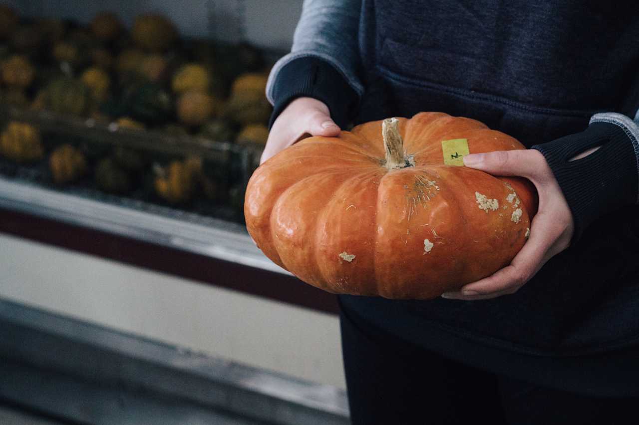 Gourds galore...ds. 