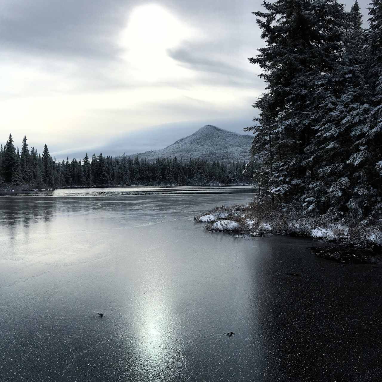 Unknown Pond in November, with The Horn standing above it.