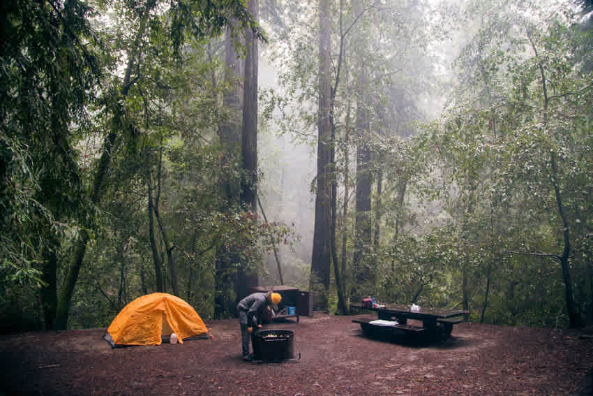 Campsite 60, complete with a picnic table, fire pit, and storage container. The trees were beautiful to look at and protected us from the torrential downpour.