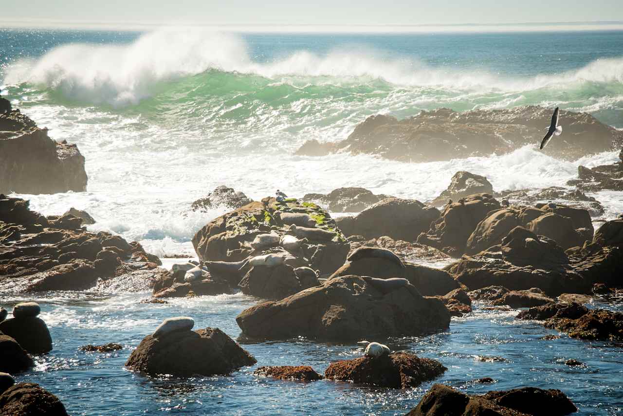 Gerstle Cove Campground