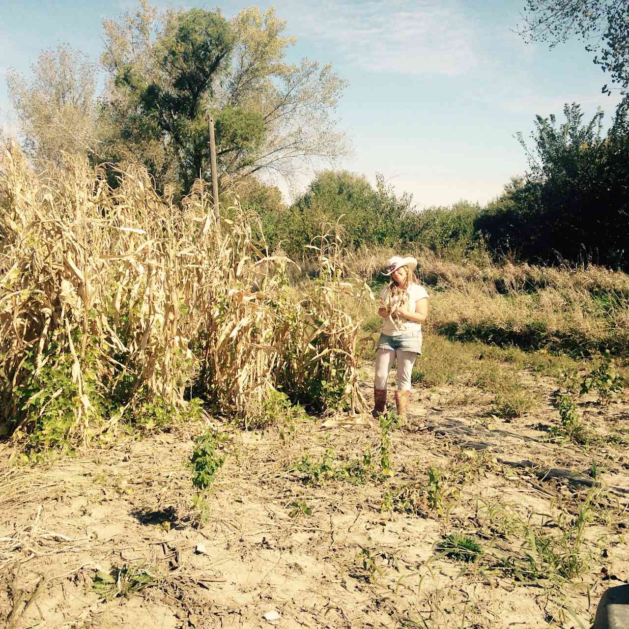 Milpa next to the creek.