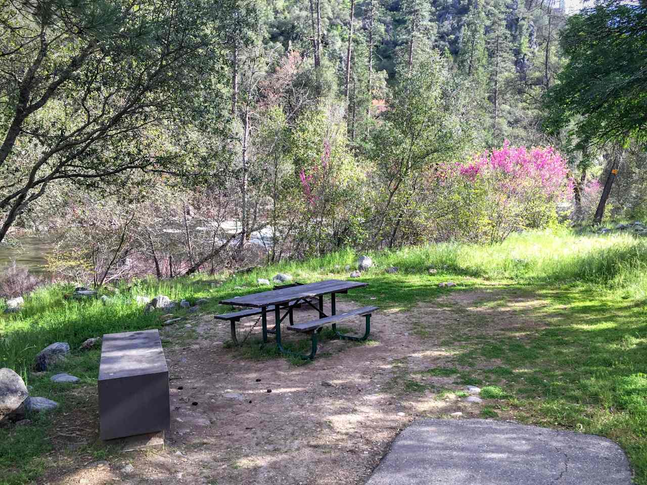 Big bear box and wooden picnic table. 