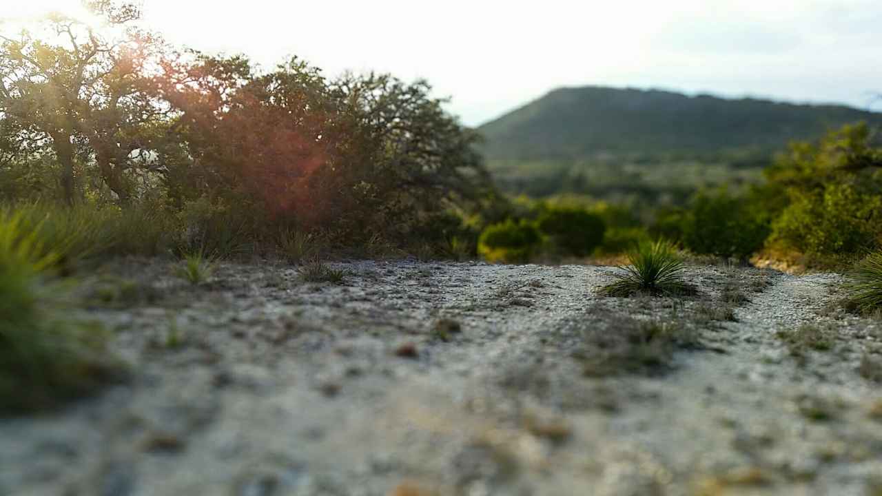 Trails at Hill Country SNA vary in difficulty from very relaxing hills to steep climbs. Miles and miles keep it interesting with great overlooks and vegetation. 