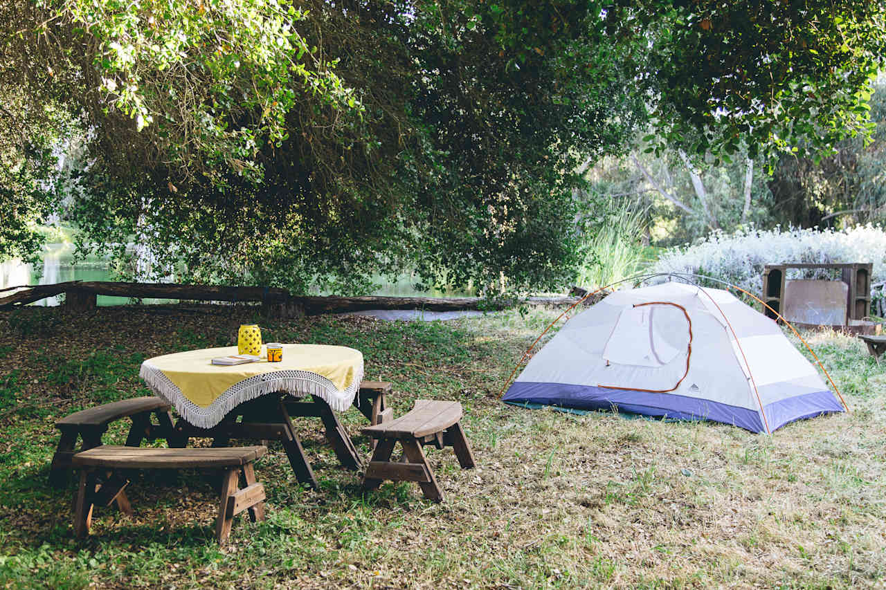 Open area next to the lake for making a cozy campsite. 