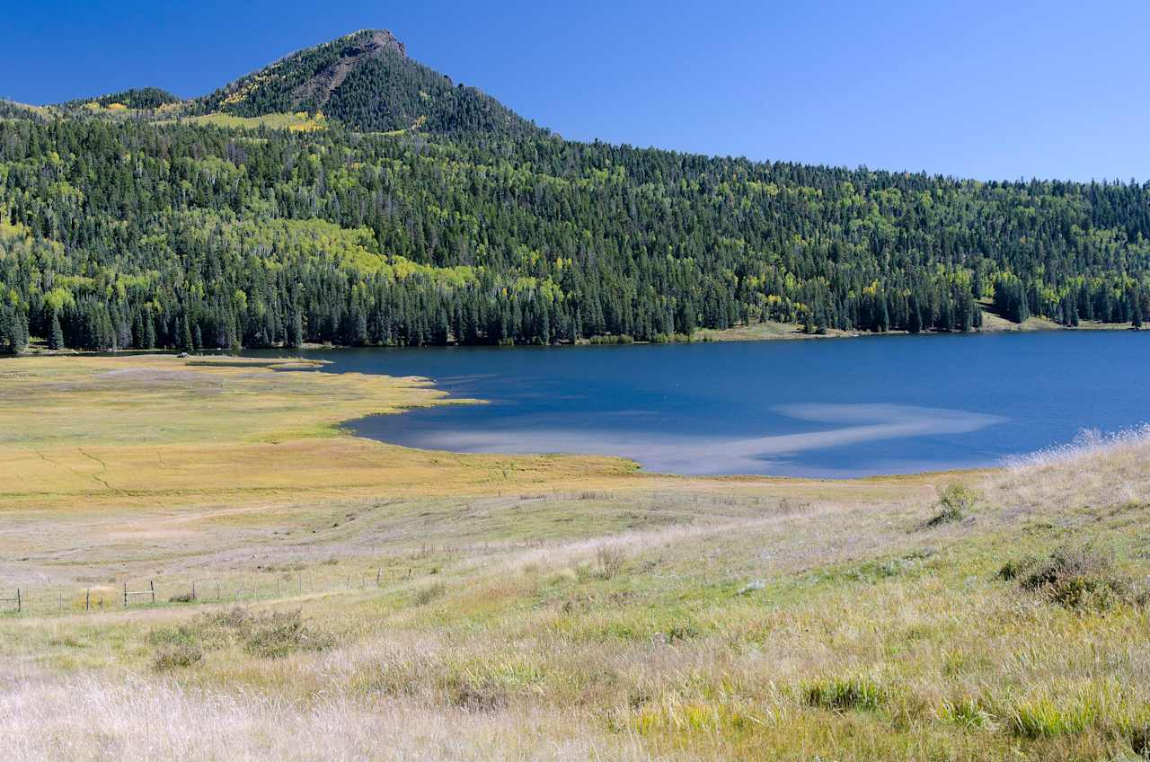 Near Teal Campground.