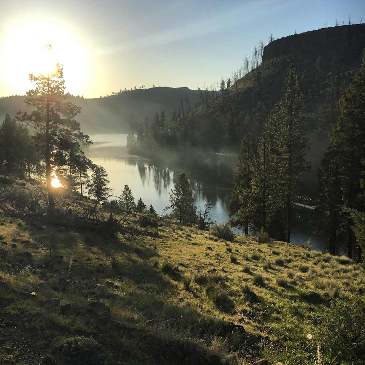 Atop the hill next to Perry South campground, overlooking the Metolius River at dawn.