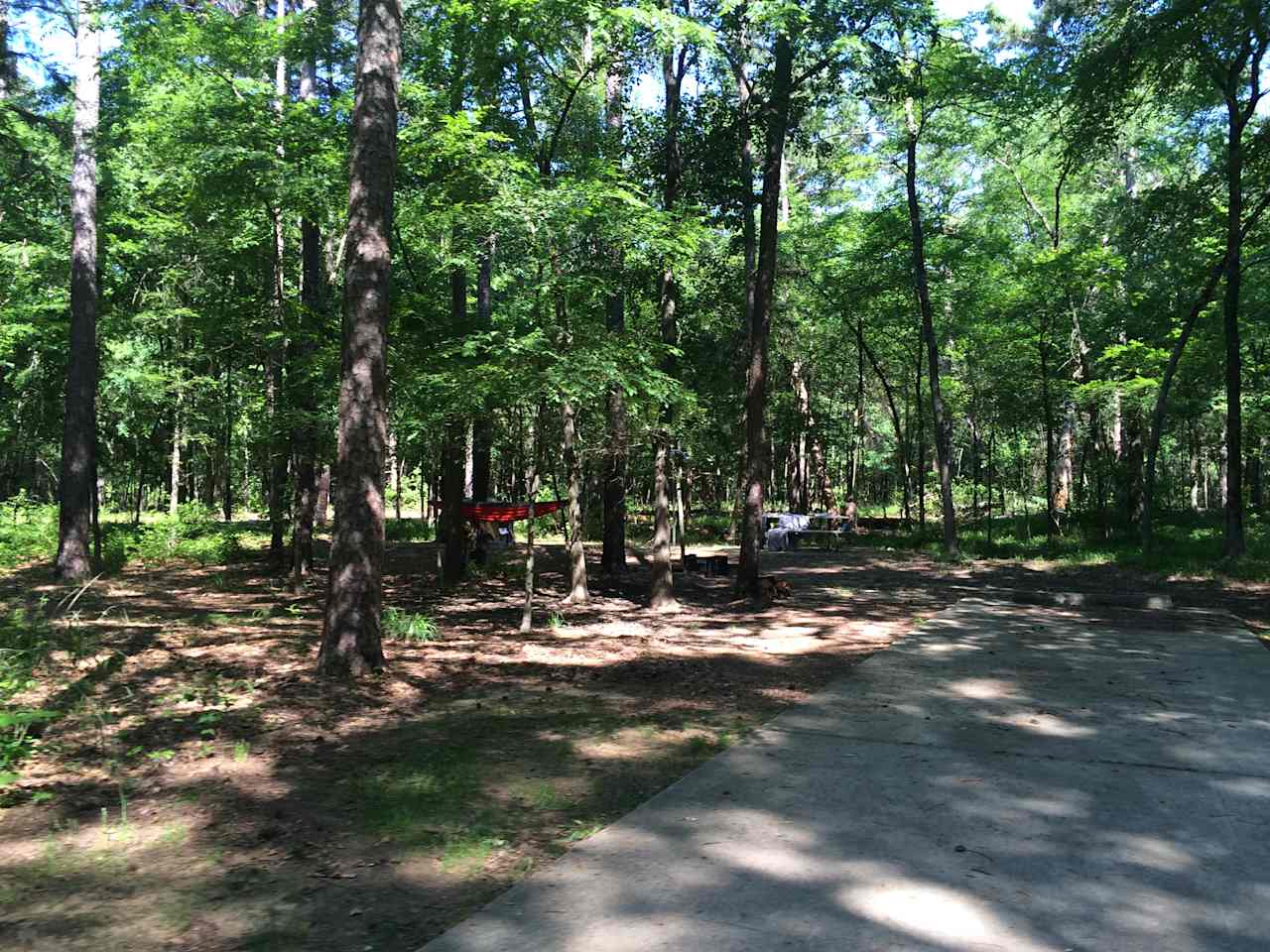 Spacious camp sites. Took the tent down, but theres a nice spot for it directly in front of the hammock 