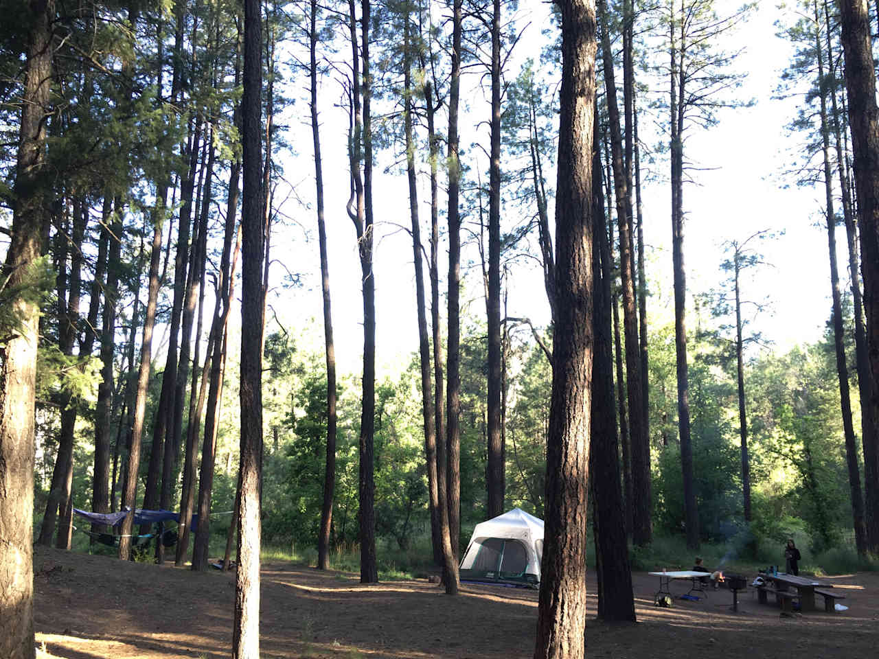 The spot we chose was on the bend of the loop, which allowed us to have plenty of space to spread out and enjoy the forest. Loved it! Photo taken with iPhone 6.