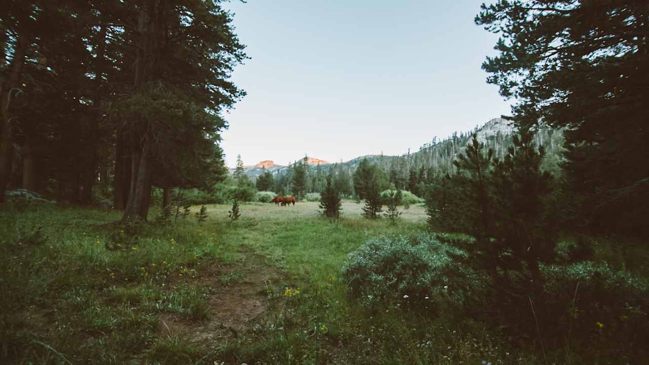 Pacific Valley Campground