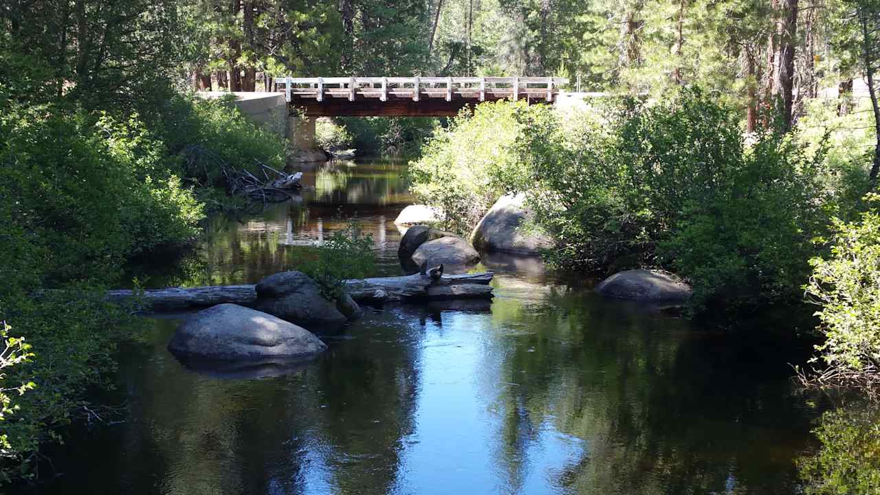 Lower Chiquito Campground