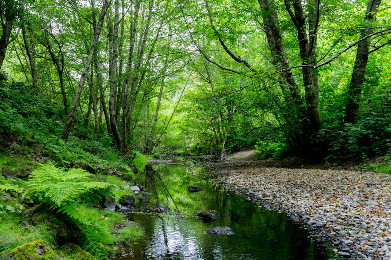 Salmon Creek Ranch