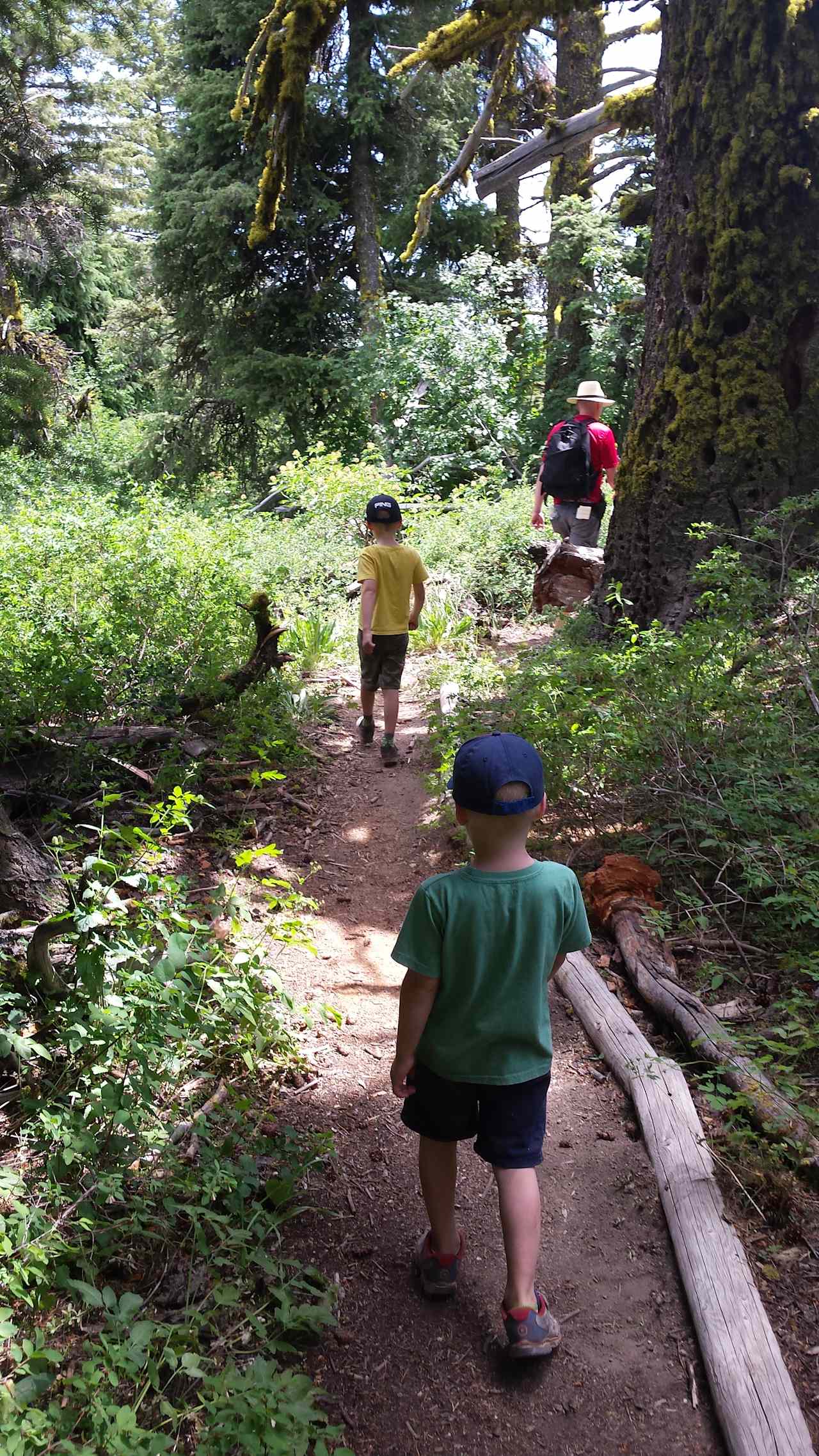 Family friendly hiking!