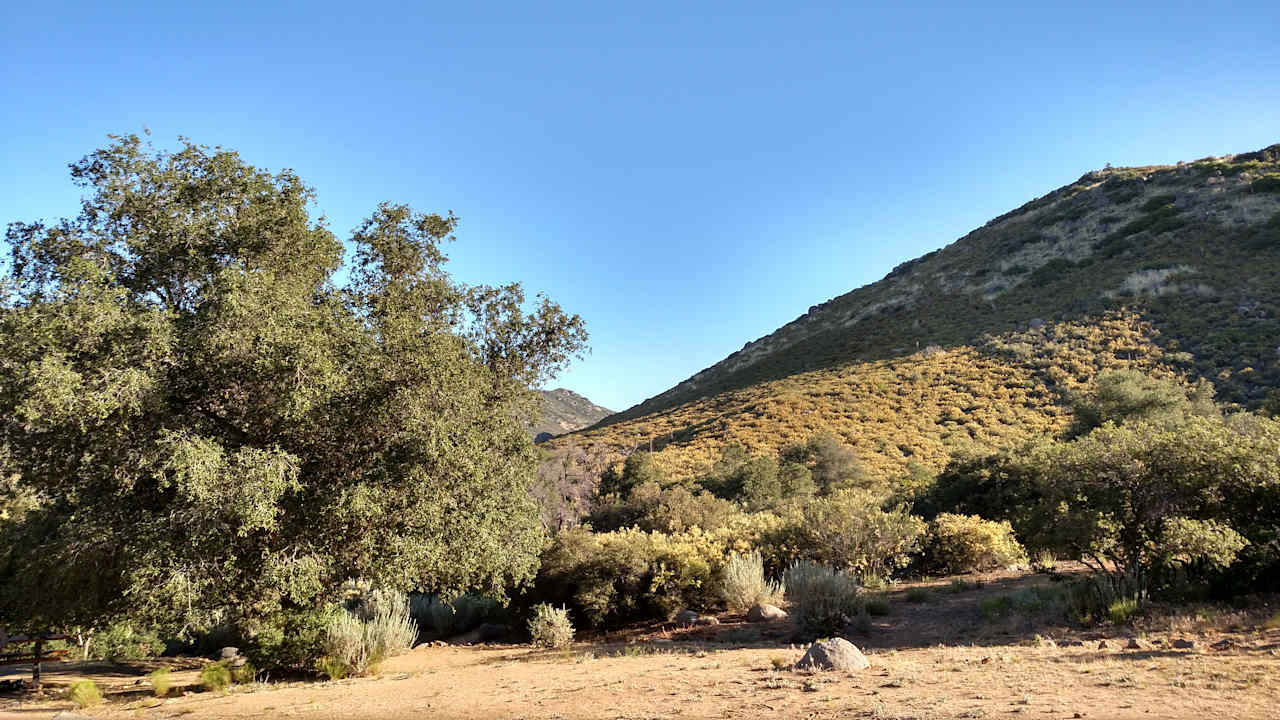 Landscape behind campsite 19