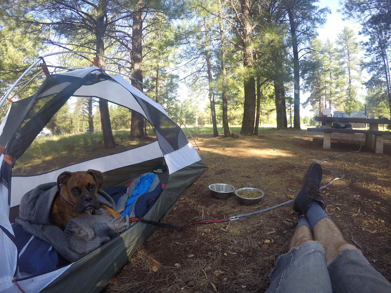 Canyon Vista Campground