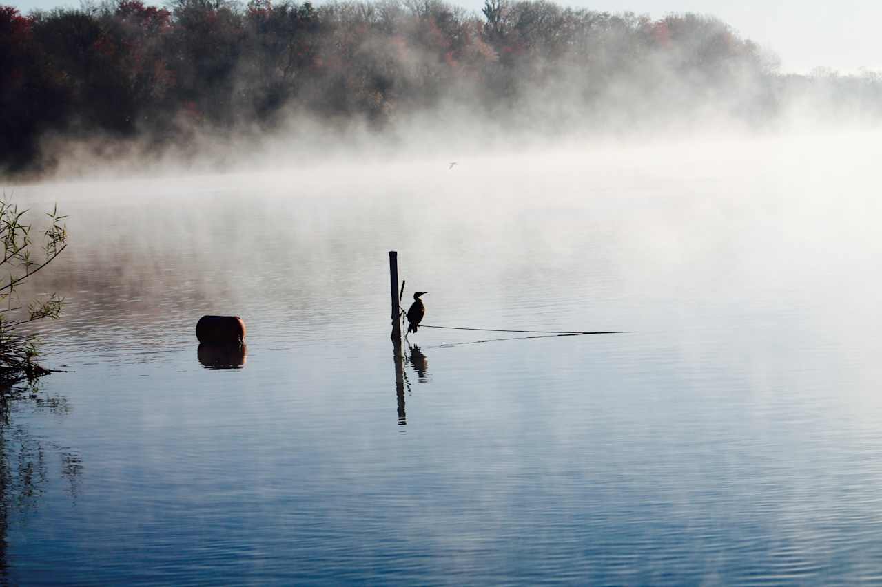 Salt Springs Recreation Area and Campground