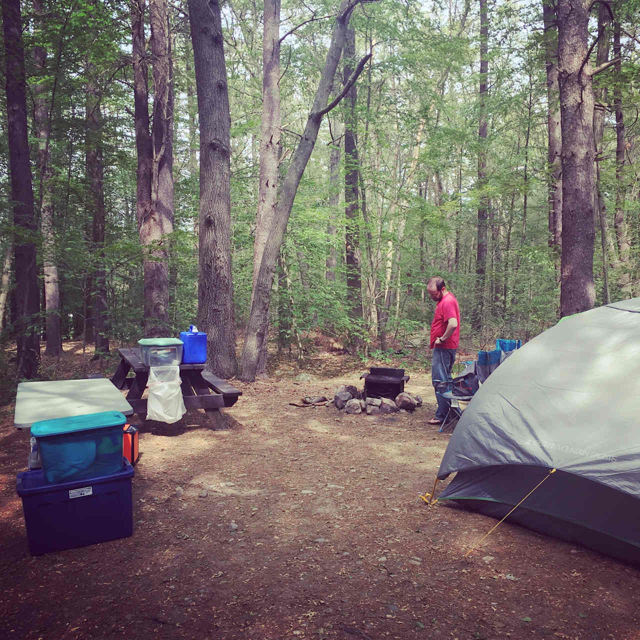 Campsite Y020