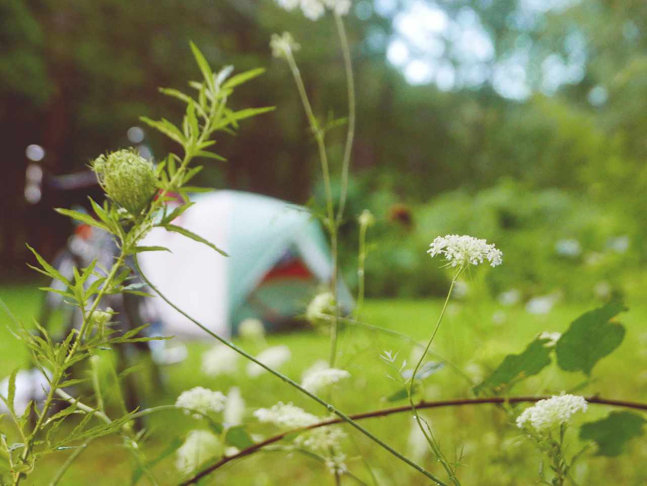 The campsites are comfortable and well maintained.