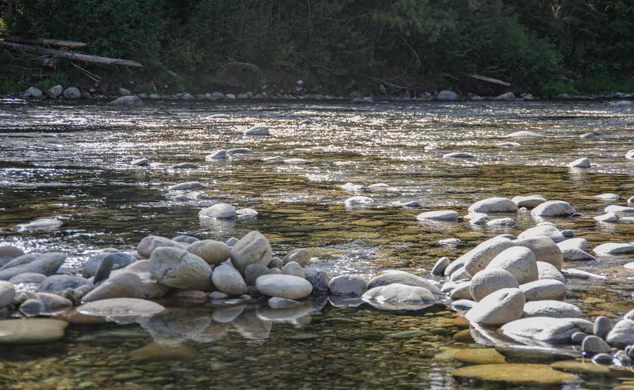 Lochsa River low in late summer