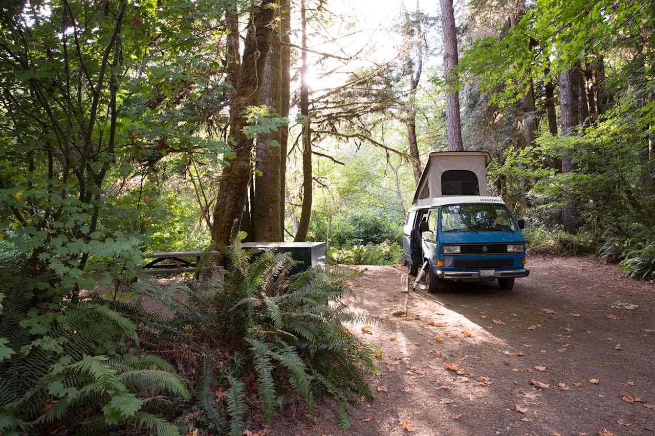 Del Norte Coast Redwoods State Park