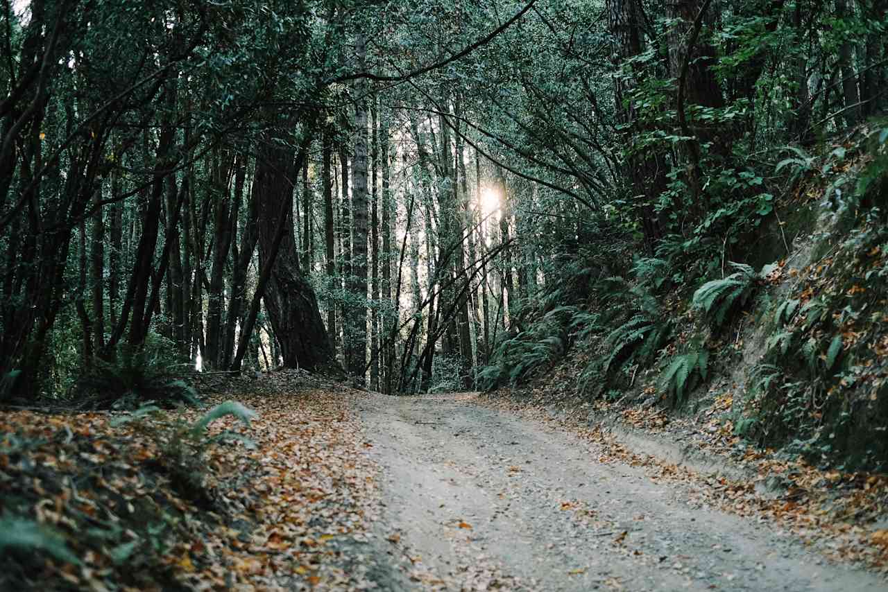 Early morning walk up the hill to the cottage area.