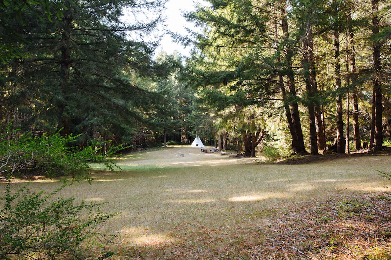 Sprawling meadow right next to the cabin, complete with teepee.