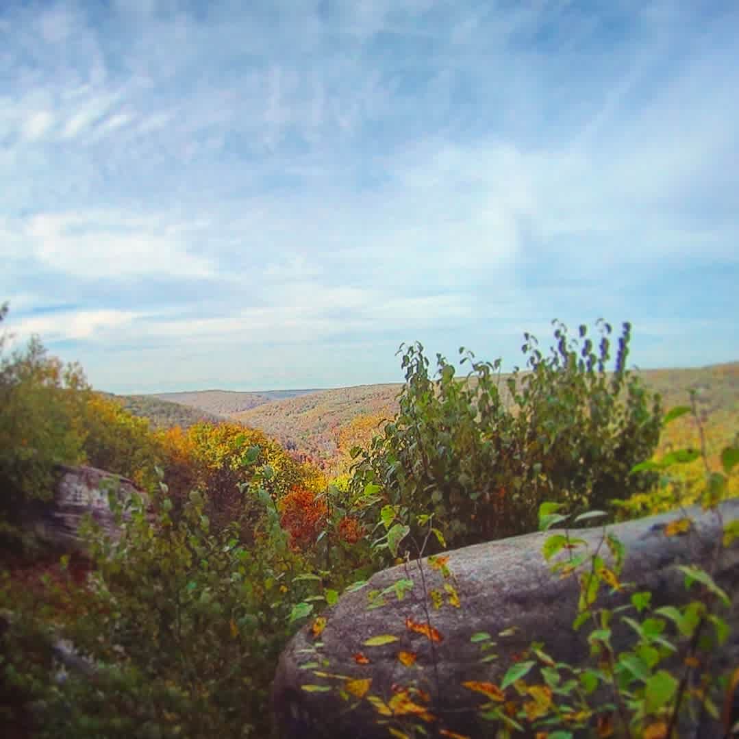 Minister Creek Trailhead