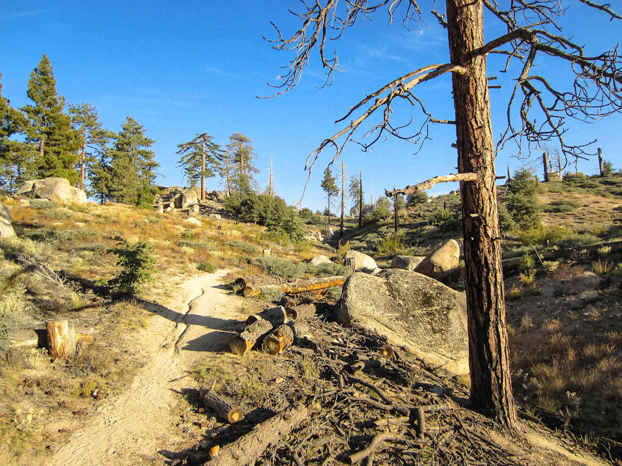 On the Hanna Flat trail