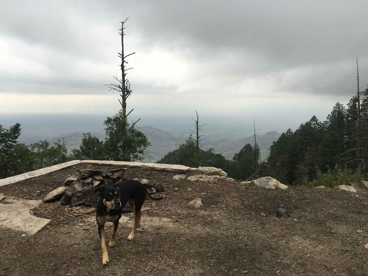 Camping on the edge of an old foundation. Pretty steep drop at this spot, there is another large spot close to here that's a little less 'on the edge' 
Larger spot has two fire rings, more tree cover