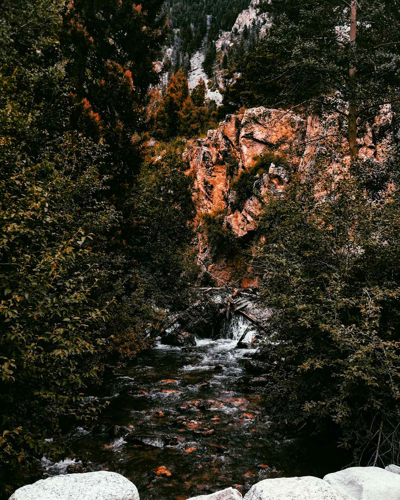 A waterfall, just a little bit up the road from Angel of Shavano Campground!