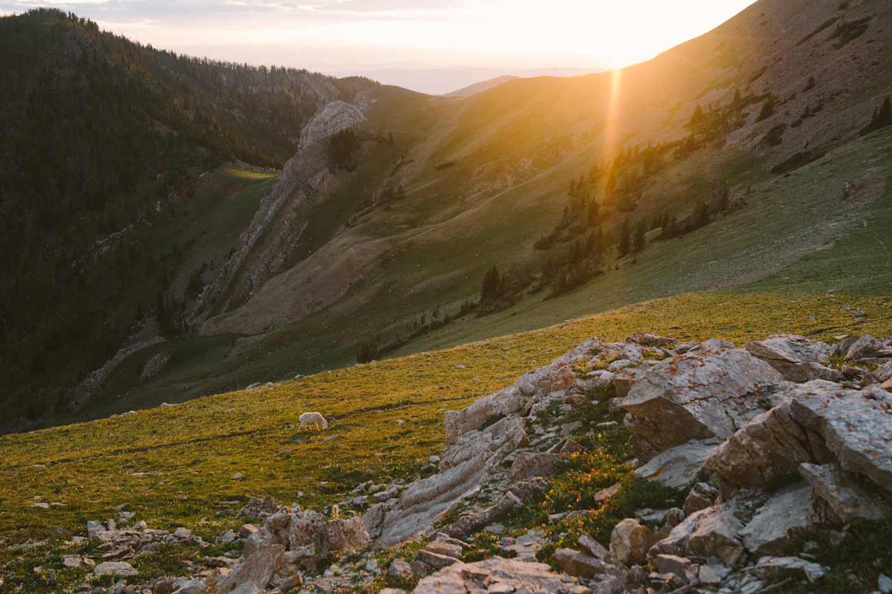 Sunset above the lake, on the ridge below Sacagawea Peak