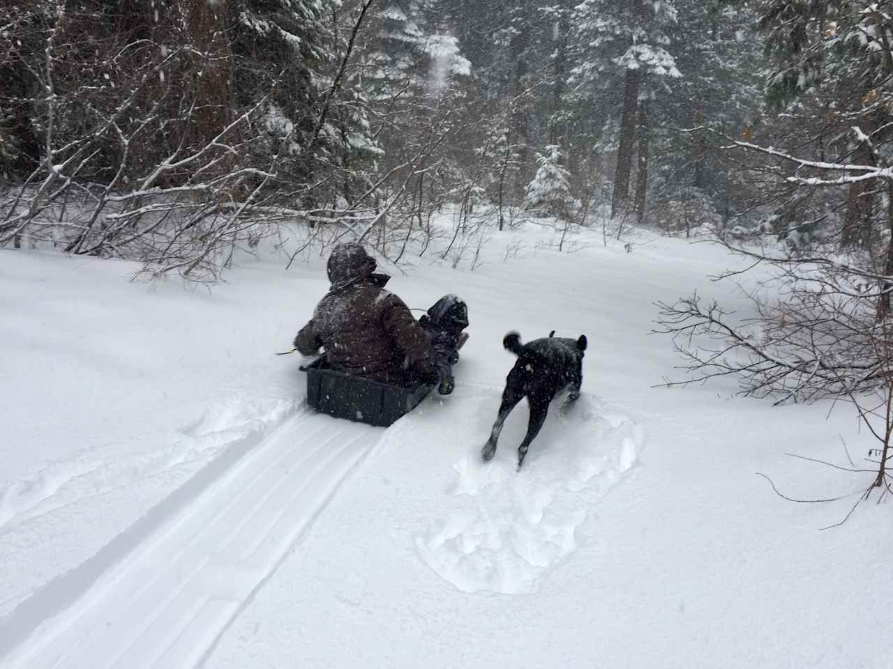 Um, yeah, it also has a sledding hill!