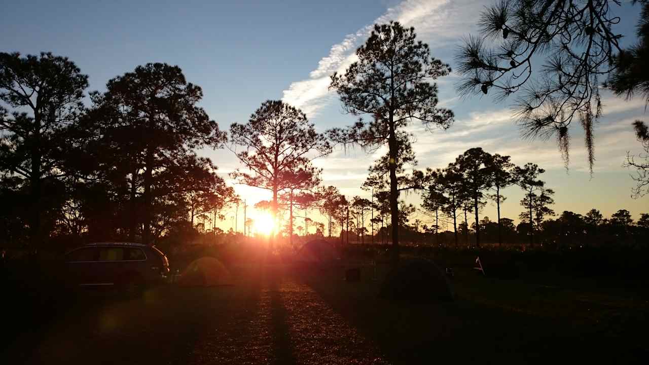 Highlands Hammock Campground