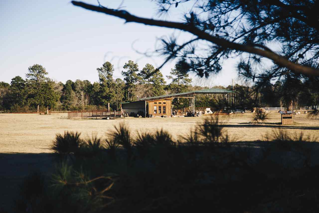 the view of the cabin from the pines