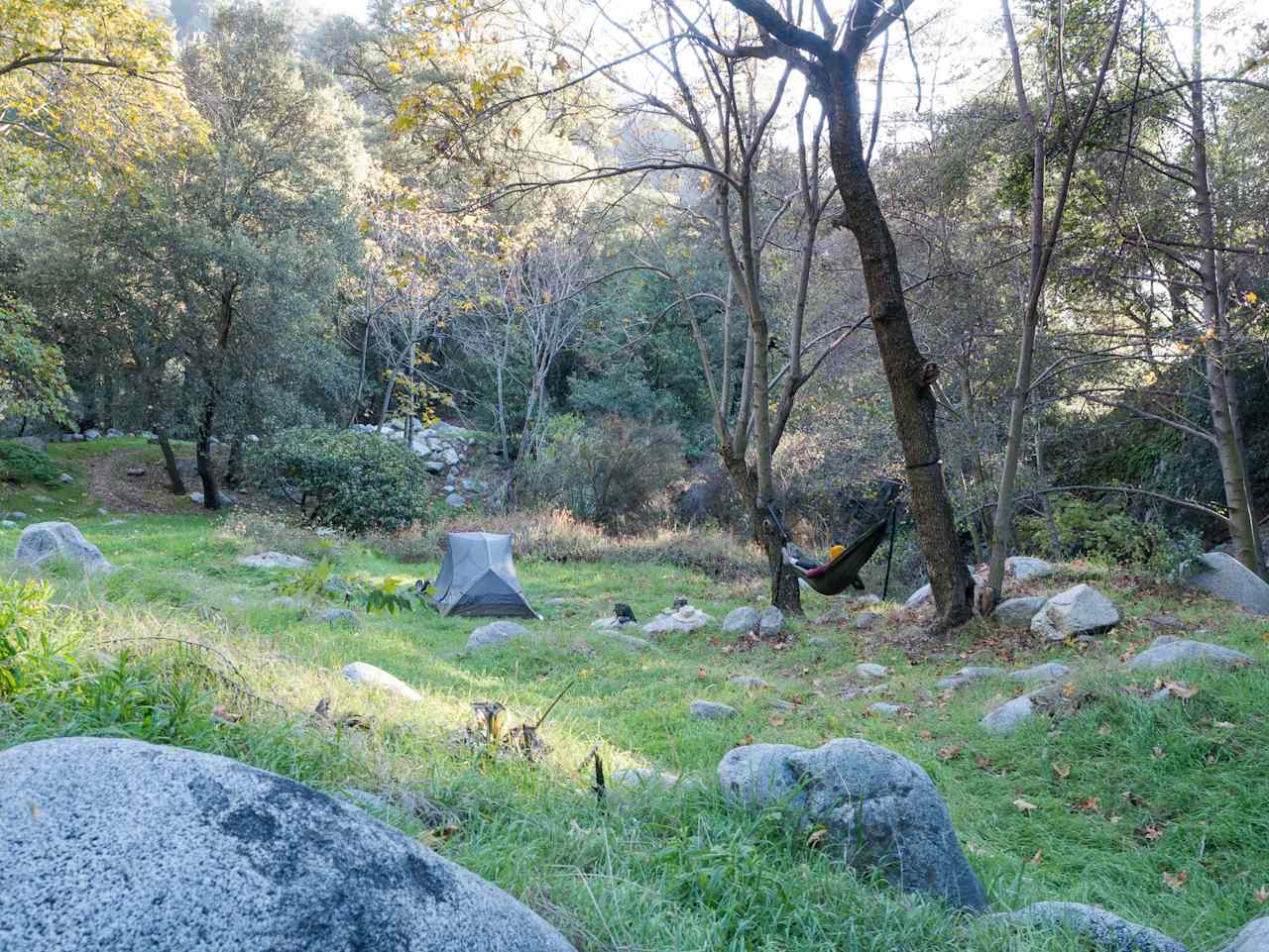 "Hammock-friendly meadow, creek running through the camp."