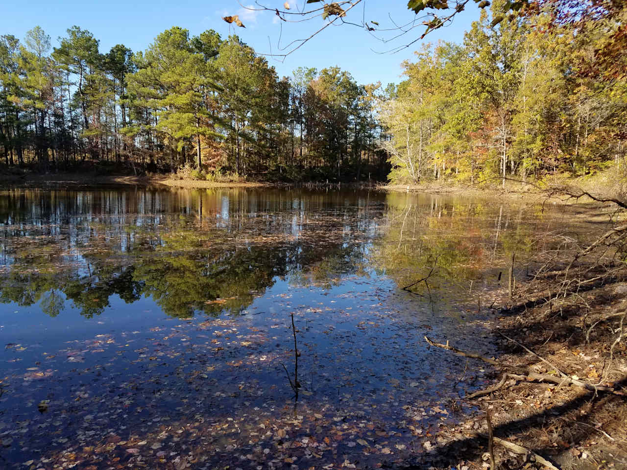 Cabin on the other side of pond