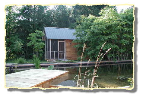 Ornamental pond for frog viewing!